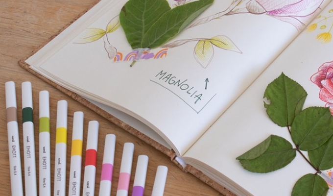 Create your very own herbarium using Emott felt tips